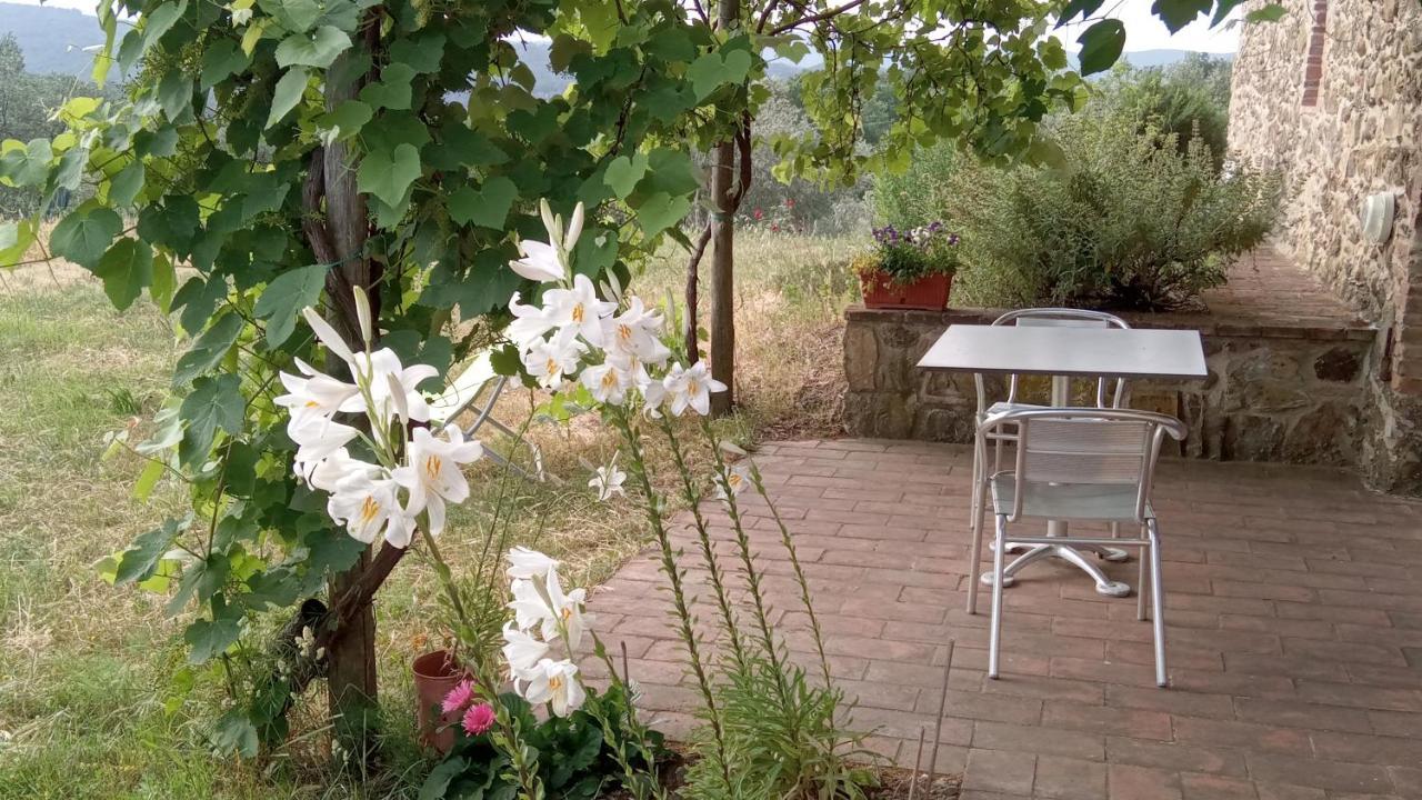 Sport Bikes And Nature Monterotondo  المظهر الخارجي الصورة
